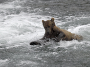 Katmai National Park