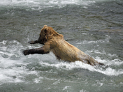 Katmai National Park