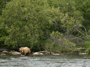 Katmai National Park