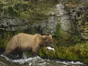 Katmai National Park