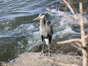 Harpers Ferry National Park