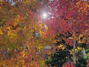 Great Basin National Park 