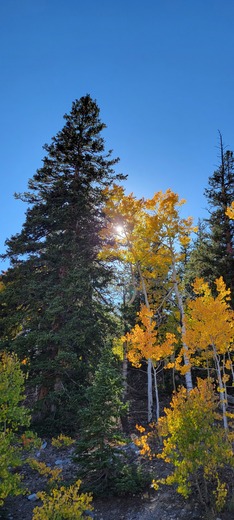Great Basin National Park 