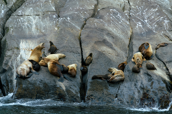 Kenai Fjords National Park