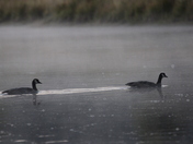 Grand Teton National Park