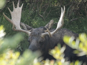 Grand Teton National Park
