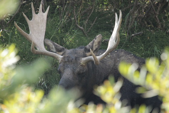 Grand Teton National Park