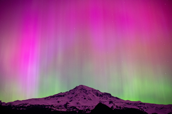 Mount Rainier National Park