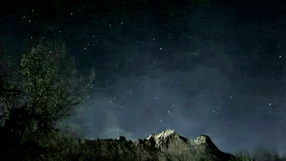 Zion National Park Campground