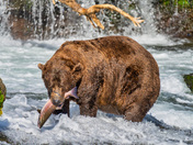 Katmai National Park and Preserve