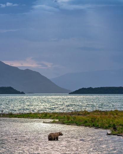 Katmai National Park and Preserve