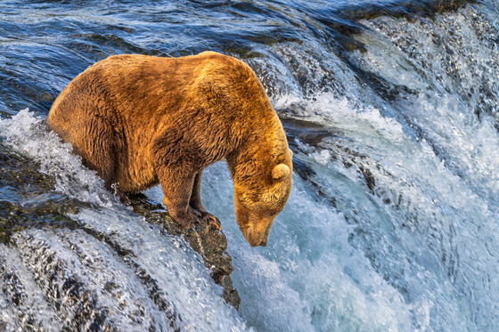 Katmai National Park and Preserve