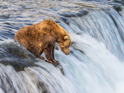 Katmai National Park and Preserve