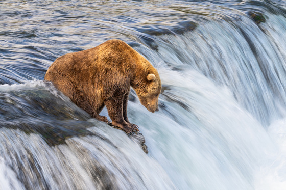 Katmai National Park and Preserve
