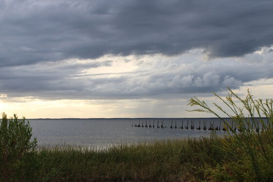 St. Marks National Wildlife Refuge & Lighthouse