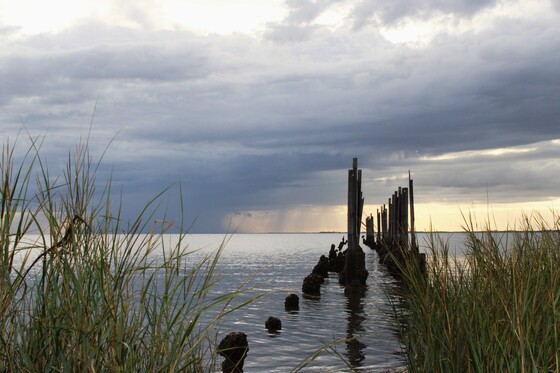 St. Marks National Wildlife Refuge & Lighthouse