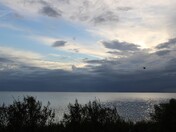 St. Marks National Wildlife Refuge & Lighthouse
