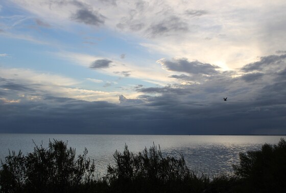 St. Marks National Wildlife Refuge & Lighthouse