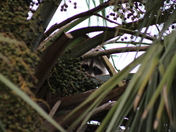 St. Marks National Wildlife Refuge & Lighthouse