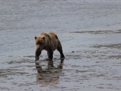 Lake Clark National Park & Preserve