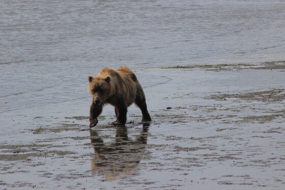 Lake Clark National Park & Preserve