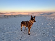 White Sands National Park