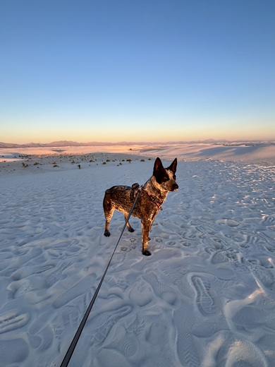 White Sands National Park