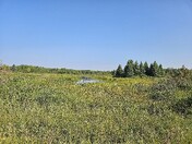 Enjoying Canada's natural beauty 