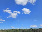 A Glorious Summer Day