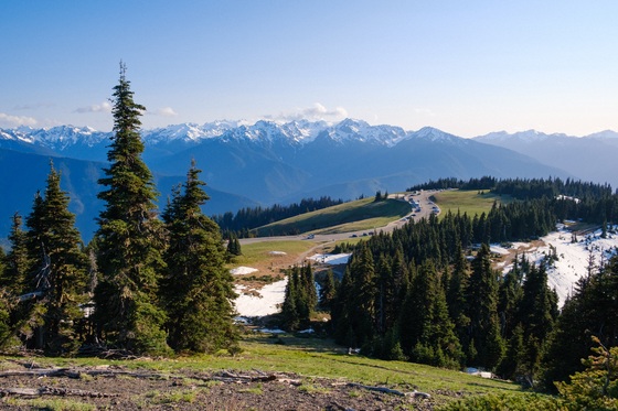 Olympic National Park