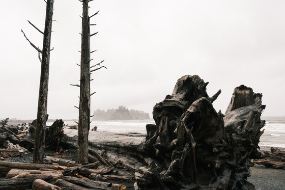 Olympic National Park
