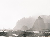 Olympic National Park