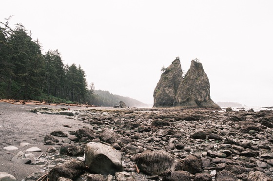 Olympic National Park