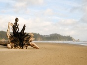 Olympic National Park