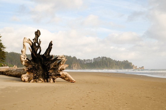 Olympic National Park