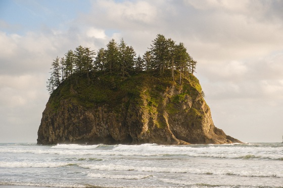 Olympic National Park