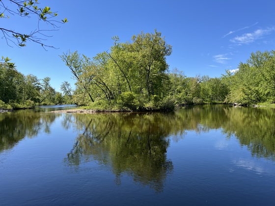 Bear Camp River