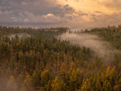 Coconino National Forest