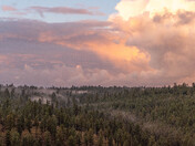 Coconino National Forest