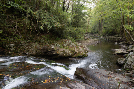 Great Smoky Mountains National Park