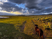 Blackfoot Reservoir Campground