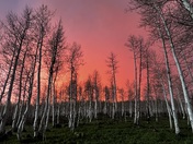 Uinta-Wasatch-Cache National Forest