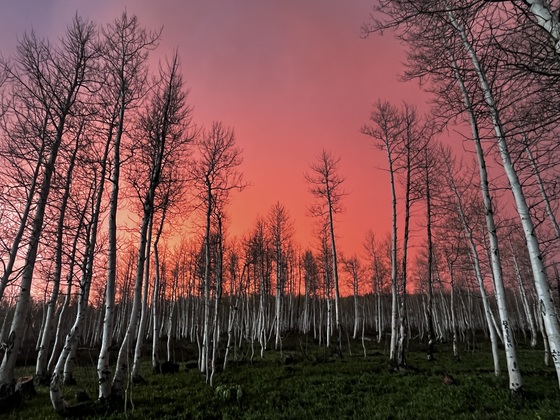 Uinta-Wasatch-Cache National Forest