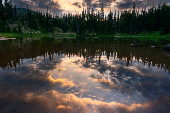 Mount Rainier National Park