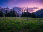 Mount Rainier National Park