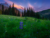 Mount Rainier National park