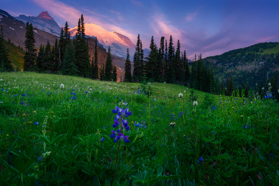 Mount Rainier National park