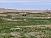 Badlands National Park 