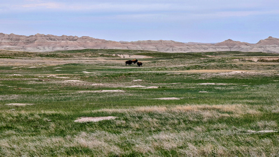Badlands National Park 