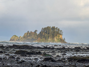 Olympic National Park 